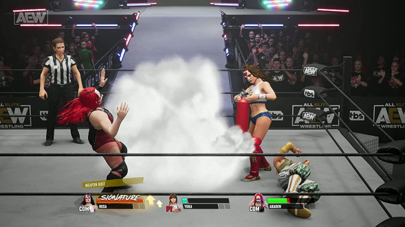 Игра AEW: Fight Forever [Nintendo Switch, английская версия] в Чите