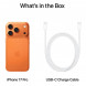 Смартфон Apple iPhone 17 Pro 1 ТБ eSIM, Cosmic Orange в Чите