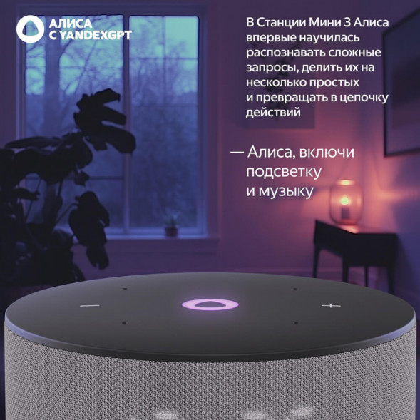 Умная колонка Яндекс Станция Мини 3 c Алисой на YandexGPT, серая в Чите