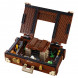 Конструктор LEGO Harry Potter 75952 Чемодан Ньюта Саламандера в Чите