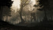 Игра GreedFall [PS4, русские субтитры] в Чите