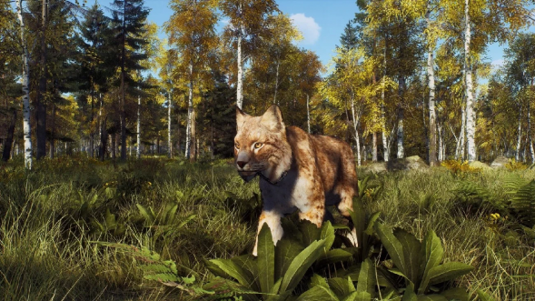 Игра Way of the Hunter: Wild Expeditions [PS5, русские субтитры] в Чите
