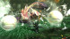 Игра Monster Hunter Generations Ultimate [Nintendo Switch, английская версия] в Чите