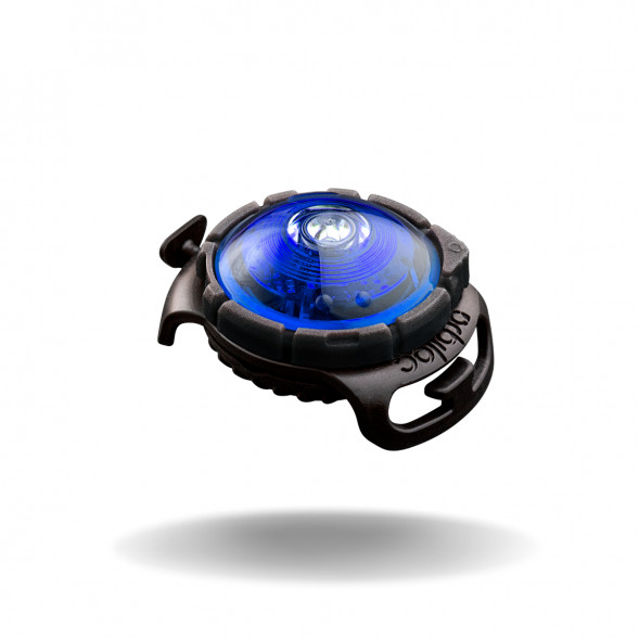 Фонарь для собак Orbiloc Dog Dual Signal Colours, синий в Чите