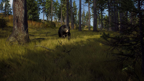 Игра Way of the Hunter [PS5, русские субтитры] в Чите