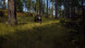 Игра Way of the Hunter [PS5, русские субтитры] в Чите