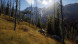 Игра Way of the Hunter [PS5, русские субтитры] в Чите