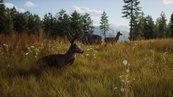 Игра Way of the Hunter [PS5, русские субтитры] в Чите