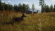 Игра Way of the Hunter [PS5, русские субтитры] в Чите