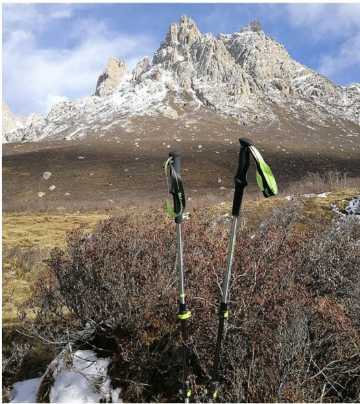 Треккинговая палка Naturehike 135 см, 1 шт., черный/красный в Чите