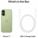Смартфон Apple iPhone 17 512GB eSim, Sage в Чите
