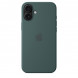 Чехол Apple для iPhone 16 Plus Silicone MagSafe,  Lake Green (MYYH3ZM/A) в Чите