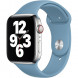 Ремешок для Apple Watch 44mm Northern Blue Sport Band (MYD32ZM/A), скандинавский синий в Чите