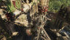 Игра Shadow of the Tomb Raider. Definitive Edition [PS4, русская версия] в Чите