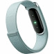 Фитнес-браслет Google Fitbit Air (Серо-голубой/Fog) в Чите