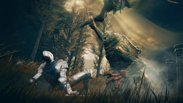 Игра Elden Ring: Shadow of the Erdtree Edition [PS5, русские субтитры] в Чите