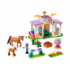 Конструктор LEGO Friends 41746 Horse Training в Чите