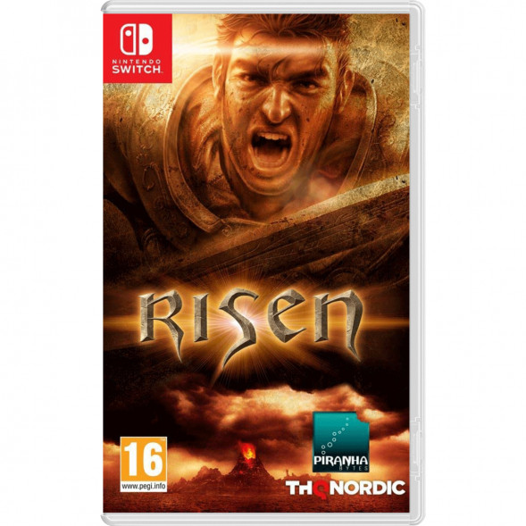 Игра Risen [Nintendo Switch, русская версия] в Чите