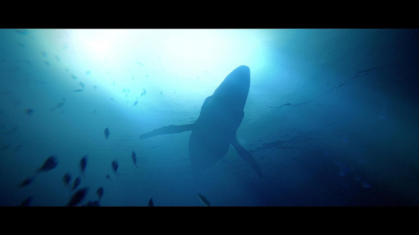 Игра Under The Waves [PS4, русские субтитры] в Чите