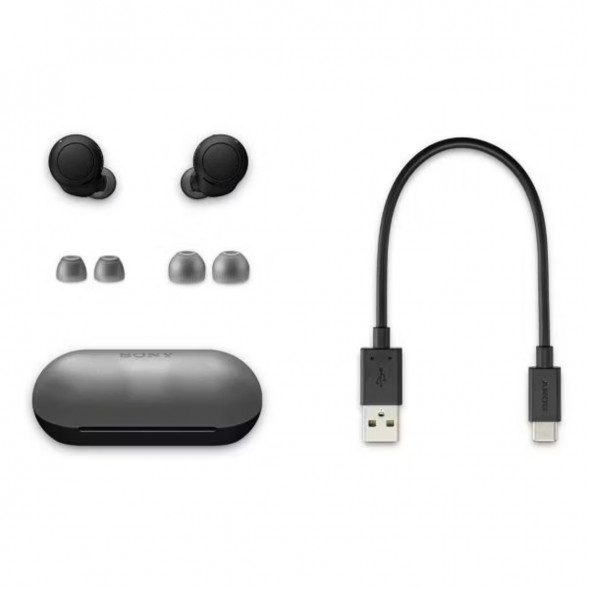Беспроводные наушники Sony WF-C500, Black в Чите