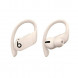 Беспроводные наушники Beats Powerbeats Pro, Ivory (MY5D2ZM/A) в Чите
