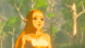 Legend of Zelda: Breath of the Wild [NSwitch, Русская версия] в Чите