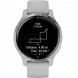 Смарт-часы Garmin Venu 2S, Mist Grey 010-02429-12 в Чите