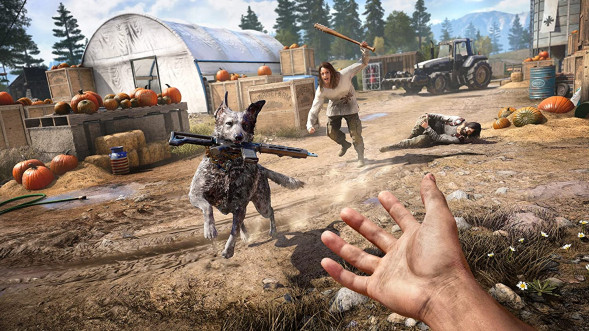 Игра Far Cry 5 [PS4, русская версия] в Чите