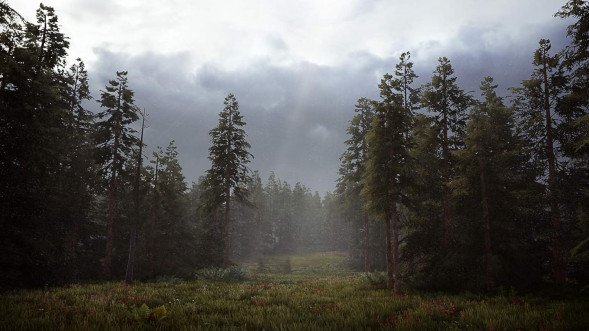 Игра Hunting Simulator 2 [PS5, английская версия] в Чите