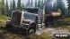 Игра Spintires: MudRunner American Wilds [Nintendo Switch, русские субтитры] в Чите